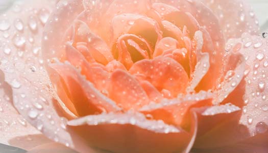 气、雾、液三重浸透