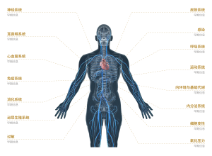 中医经络检测仪：传统与现代科技的结合